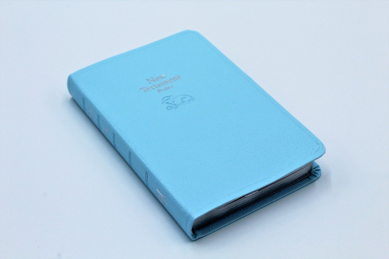 Holman Bible: Baby's First New Testament with Psalms & Proverbs (more options available) - Image 2