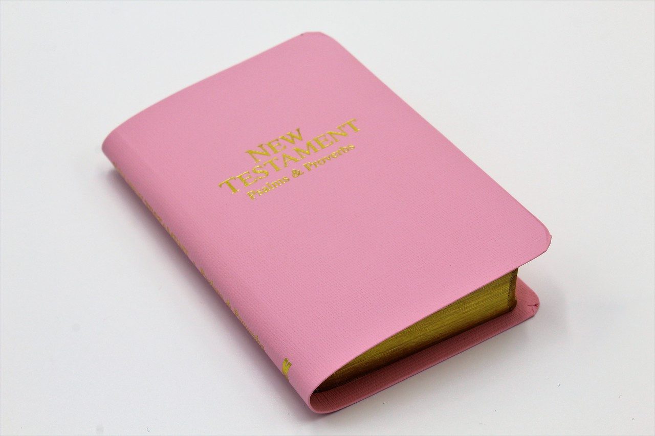 Holman Bible: Baby's First New Testament with Psalms & Proverbs (more options available) - Image 4