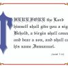 KJV Scripture Christmas Cards - Isaiah 7:14 (10-pack)