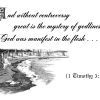 KJV Scripture Christmas Cards - 1 Timothy 3:16 (10-pack)