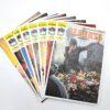 Alberto Series Comic Pack (Spanish)