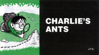 Charlie's Ants - Tract