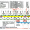 Christ Crucifixion Time Chart
