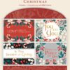 Candy Cane Christmas Assorted Boxed Cards (12-pack)