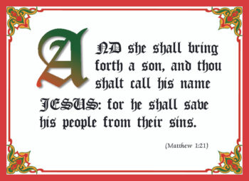 KJV Scripture Christmas Cards - Matthew 1:21 (10-pack)