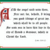 KJV Scripture Christmas Cards - Luke 2:10-11 (10-pack)