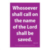 Waterproof Scripture Poster: Acts  2:21