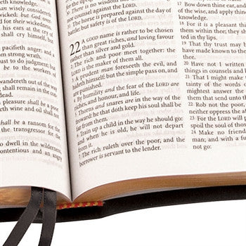 Trinitarian Bible Society: Windsor Text Bible - Image 4