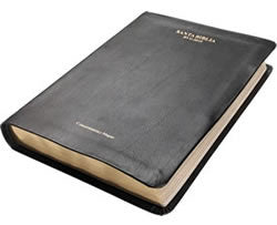 Reina-Valera Gomez 2010 Compact Bible - Image 2