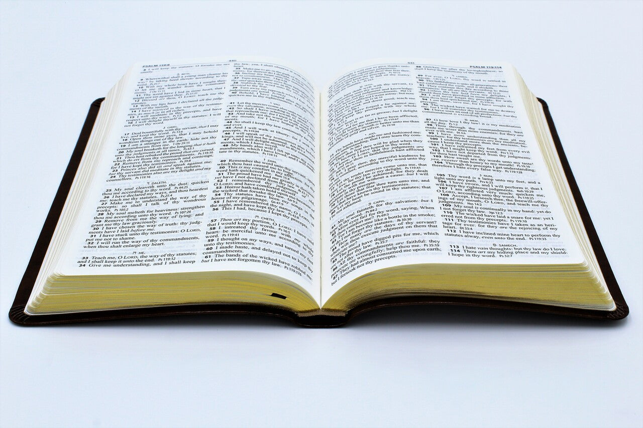 Hendrickson Bible: Thinline Reference Edition Bible Black Bonded Leather - Image 2