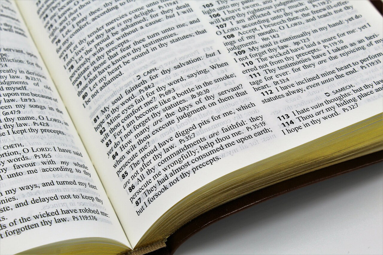 Hendrickson Bible: Thinline Reference Edition Bible Black Bonded Leather - Image 3