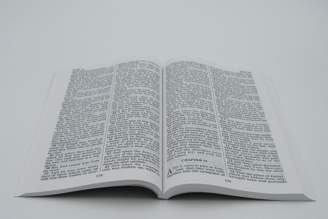 BBB: Large Print New Testament with Psalms & Proverbs - Image 3