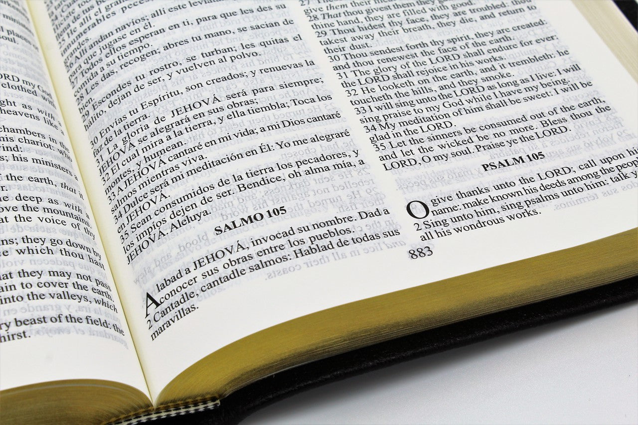 Spanish and English: Reina-Valera Gomez 2010 Bilingual Bible - Black Softcover - Image 5