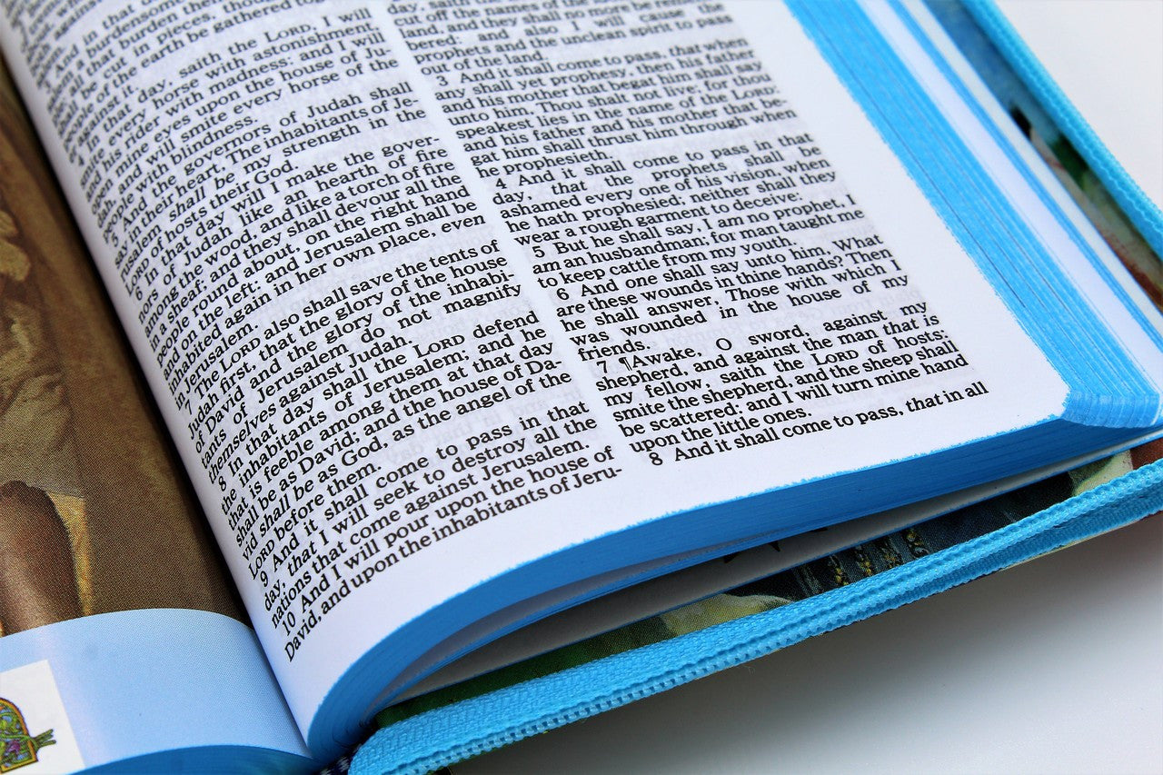 Thomas Nelson Bible: Seaside Bible for Children - Hardcover Zipper - Image 31