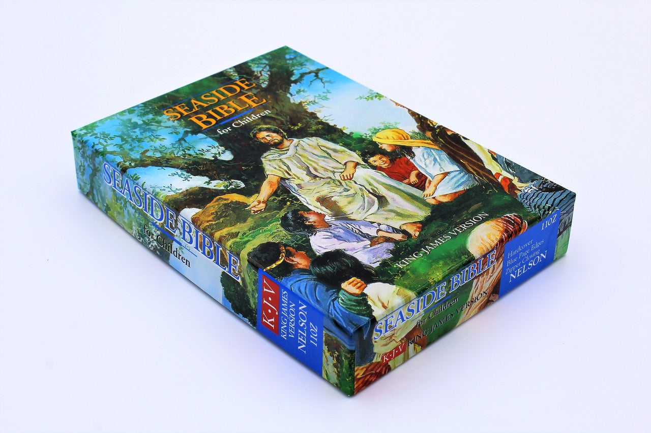Thomas Nelson Bible: Seaside Bible for Children - Hardcover Zipper - Image 12