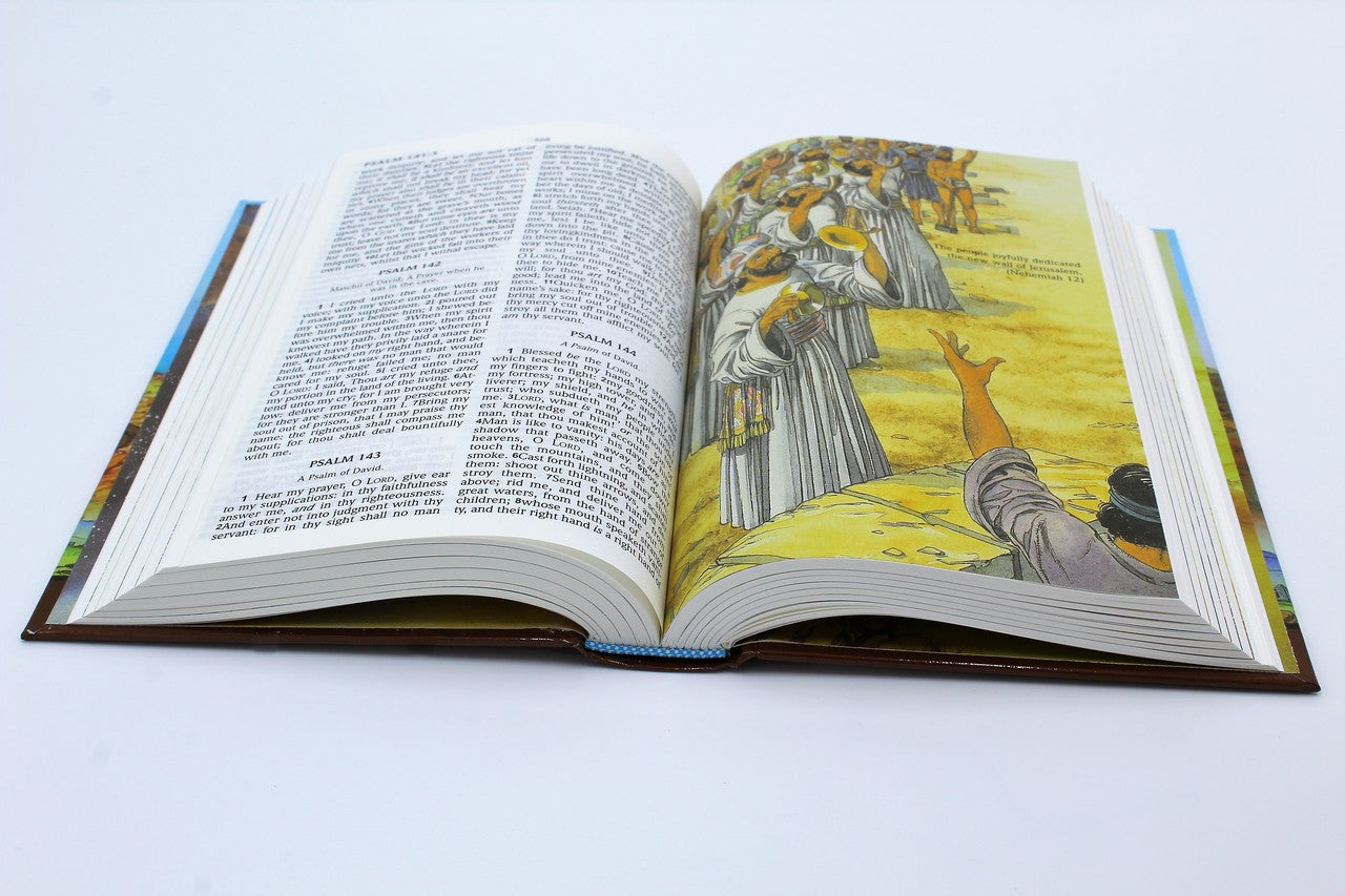 Hendrickson Bible: Kids Bible - Hardcover - Image 20