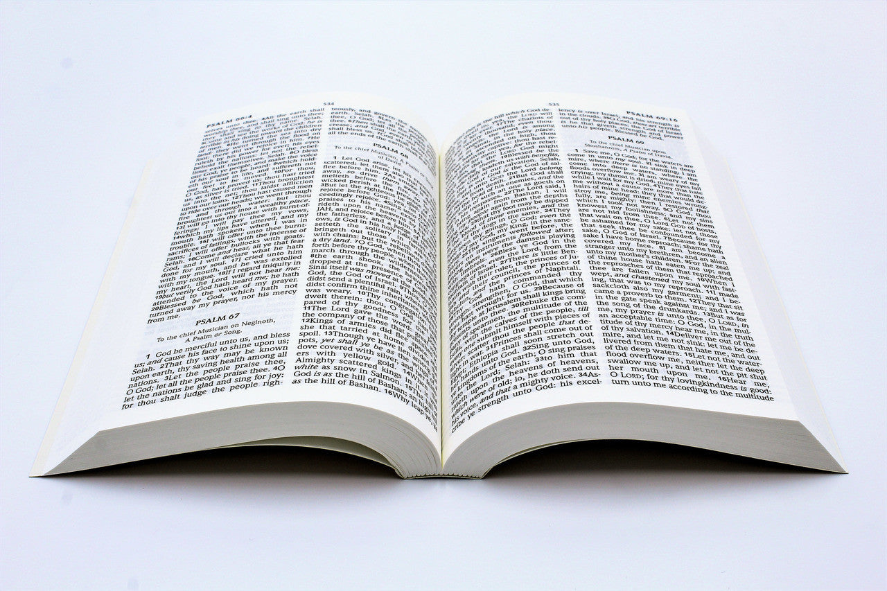 Hendrickson Bible: Large Print Bible - Image 4