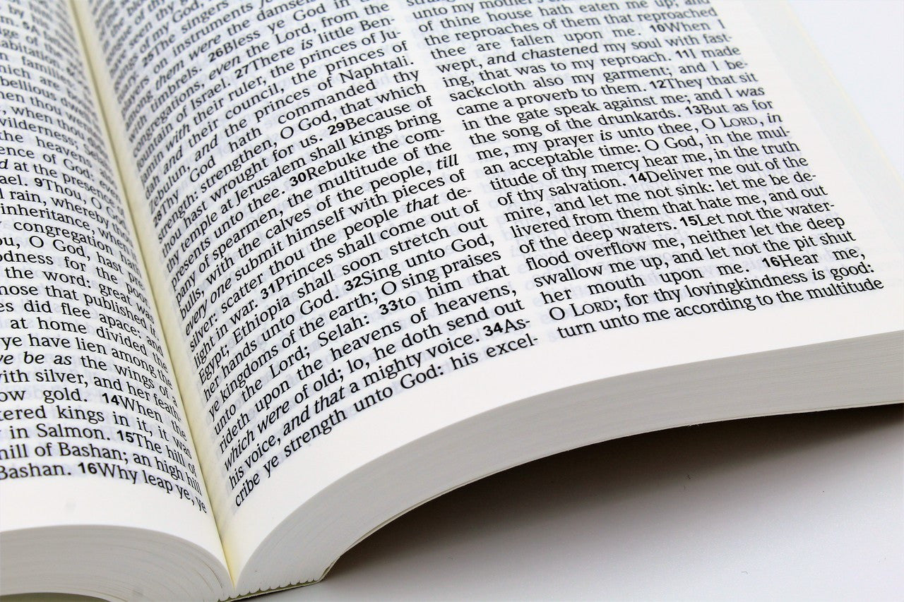 Hendrickson Bible: Large Print Bible - Image 9